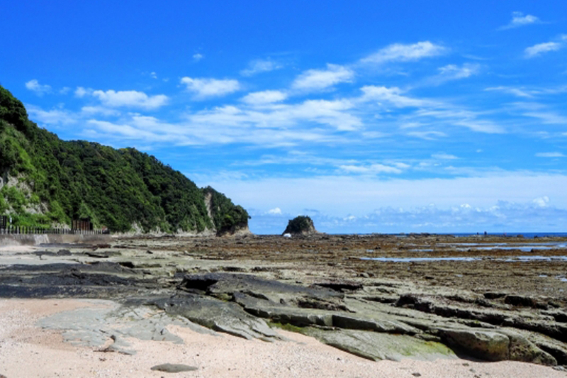 鴨川市へ移住する魅力とは?<br>人気の秘密や移住メリット、<br>先輩移住者の事例を紹介
