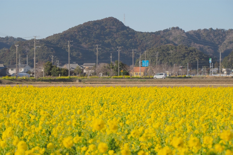 後悔しないために知っておきたい鴨川移住のデメリット